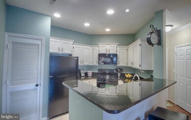 13070 Autumn Woods Way unit 206, Fairfax, VA 22033 - photo 4