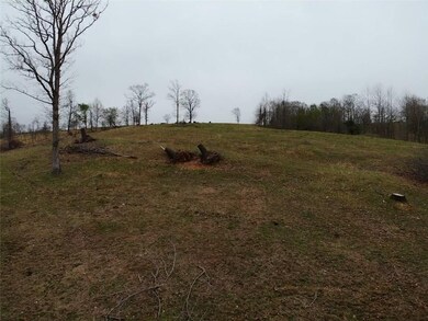 0 Springtown Rd, Siloam Springs, AR 72761 - photo 6