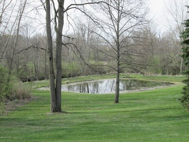 Pond