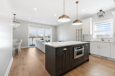 5120 N Elston Ave unit 2, Chicago, IL 60630 - photo 4