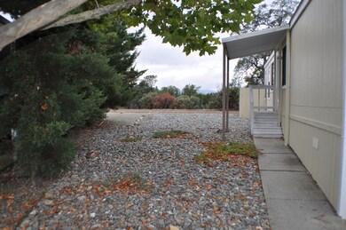 front side yard