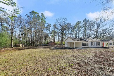 8919 & 8913 Plank Rd, Clinton, LA 70722 - photo 4