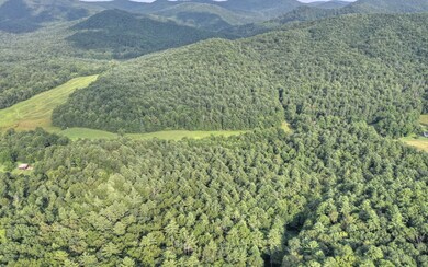 15.5A Doublehead Gap Rd, Blue Ridge, GA 30513 - photo 2