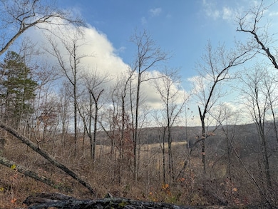 0 Hellsneck Ln unit 25649761, Waverly, TN 37185 - photo 4