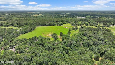 0 James Boyakin Barnett Rd, Mendenhall, MS 39114 - photo 6