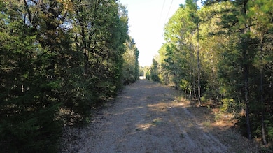 000 County Road 4330, Larue, TX 75770 - photo 6