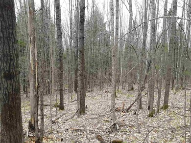 3 Highland Cir, Lyndon, VT 05851 - photo 2