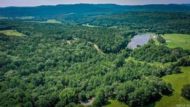 000 Mazanec Lane - Lot 2, Clinton, AR 72031 - photo 3