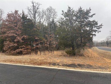 106A Stonewolf Ct, Gordonville, TX 76245 - photo 5