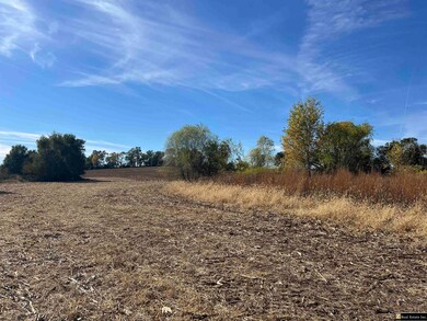 Parcel 4 Spring Saunders County Acreages County Rd, Yutan, NE 68073 - photo 6