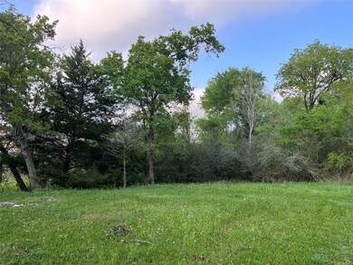 Trees along the creek, near the end of the driveway.