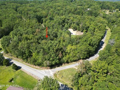 0 McSpadden Branch Rd, Vonore, TN 37885 - photo 4