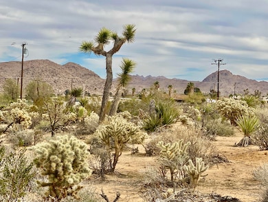 6925 Sunnyhill Rd, Joshua Tree, CA 92252 - photo 4