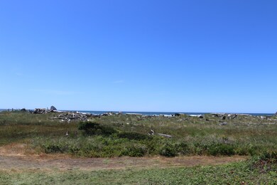 IMG_0900