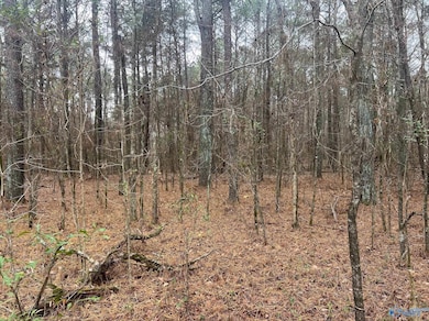 123 Hitt Rd, Decatur, AL 35603 - photo 4