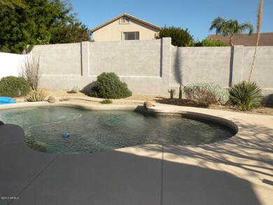 Pool and Patio