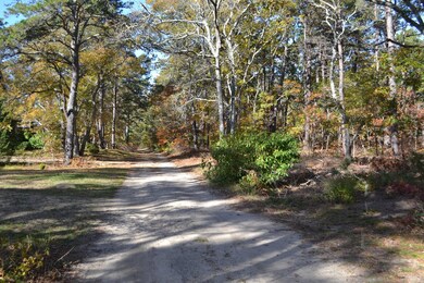 0 Columbian Ave unit 31292, Oak Bluffs, MA 02568 - photo 5