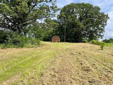 View of green lawn featuring a storage shed