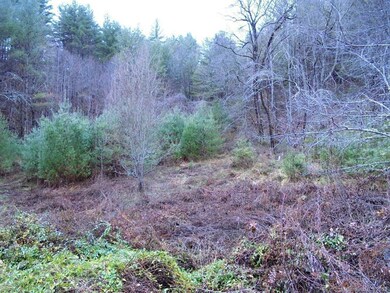 0 Hardscrabble Rd, Cane River, NC 28714 - photo 4