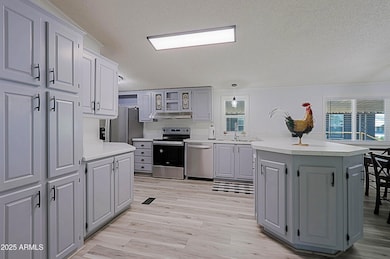 Kitchen 1 (1)