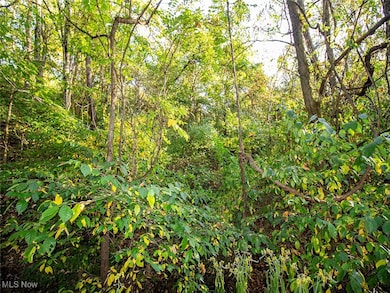 8 acres Whiskey Run Rd, Quaker City, OH 43773 - photo 3