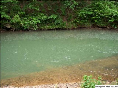 Swim or fish!