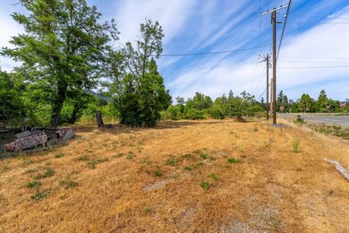 110 Hogue Dr, Selma, OR 97538 - photo 2