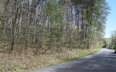 Additional View