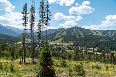 24 Cub Creek Way Lot 1, Winter Park, CO 80482 - photo 3