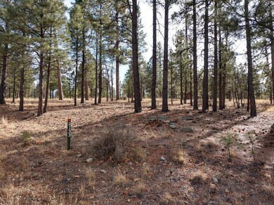 176 Pine Canyon 7