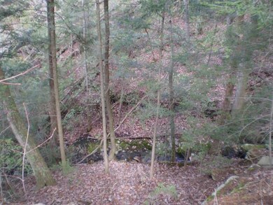 Slope off point down to tumbling creek!