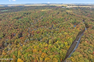 5-web-or-mls-461 E Cove Rd, Monterey_038