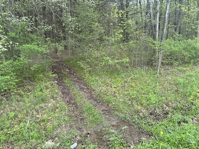 0 Kilkenny Rd, Unadilla, NY 13849 - photo 6