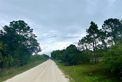 Looking north.  1.25 acre is on the left.