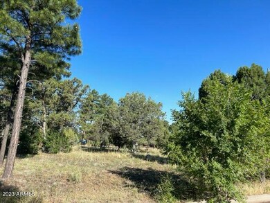 600 S Reynolds Ln unit 51, Show Low, AZ 85901 - photo 6