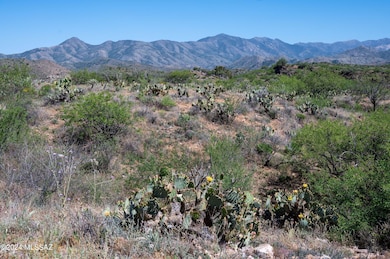 67919 E Madison Rd unit 56, Oracle, AZ 85623 - photo 3