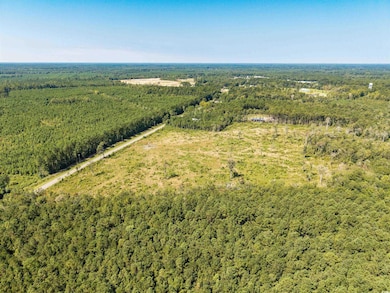 TBD Pitch Landing Rd, Conway, SC 29527 - photo 4