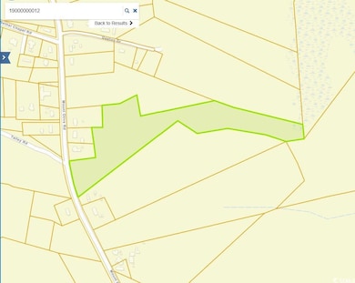 TBD Mount Olive Rd, Loris, SC 29569 - photo 2