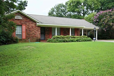 Beautiful Lawn!