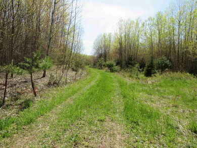 TBD Off Rice Lake Rd unit No Drive Bys, Lake Linden, MI 49945 - photo 2