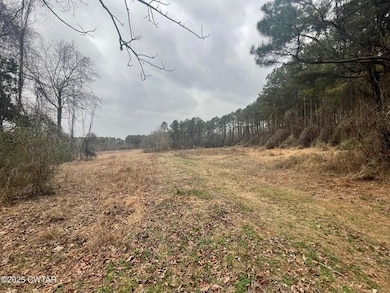 20 E L Morgan Dr, Jackson, TN 38305 - photo 7