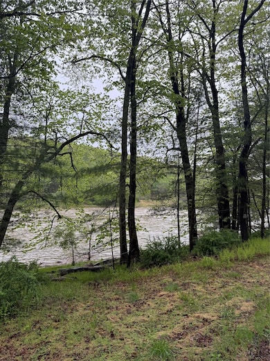 0 Hankins Rd, Tusten, NY 12764 - photo 3