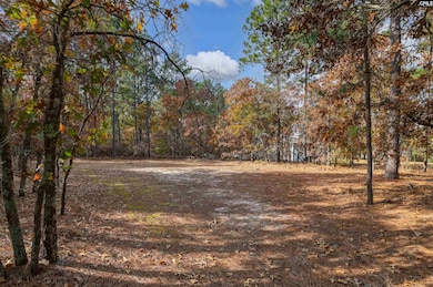 120 Morningwood Dr, Lexington, SC 29073 - photo 6