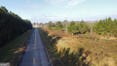 8 County Line Rd, Elko, GA 31025 - photo 4