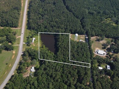 TBD Hudson Rd, Pollock, LA 71467 - photo 4