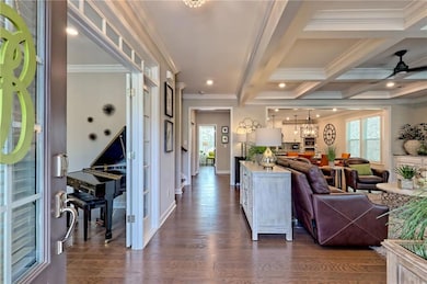 Living area featuring dark wood-style flooring, ba