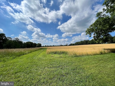 322 Stoney Knoll Ln, Berwyn, PA 19312 - photo 4