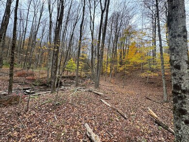 State Route 267 Lot unit WP001, Friendsville, PA 18818 - photo 7