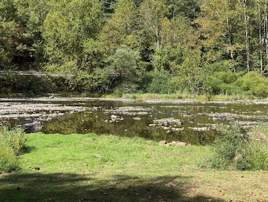 0 Riverview Path, Grove Township, PA 15861 - photo 3