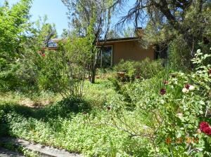 295 Dry Creek Rd (6)